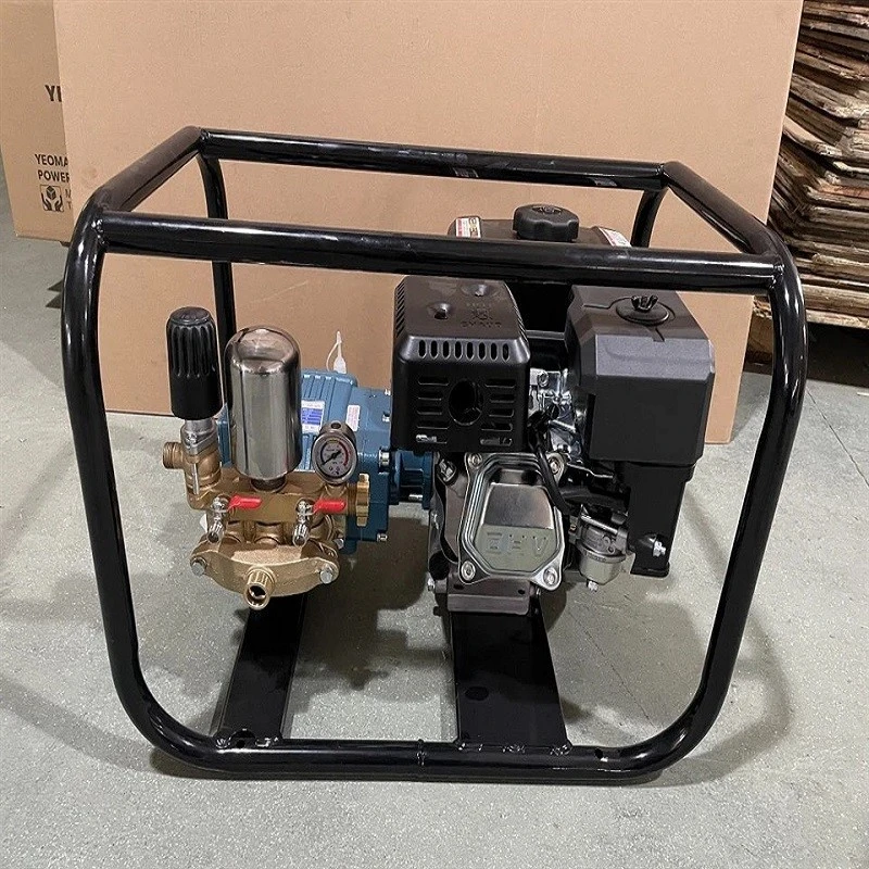 product-800-800